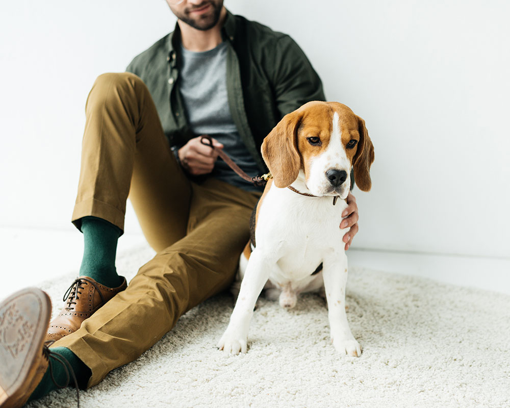 dog-mobile-c2-5ed52edec105a