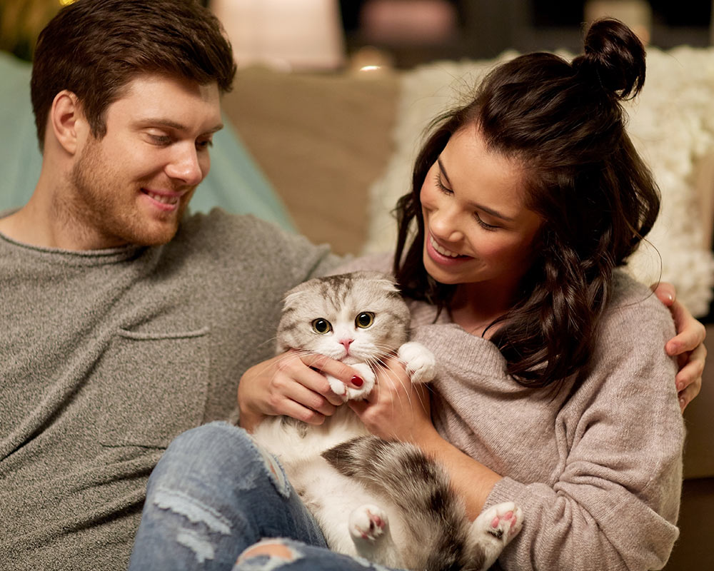 mobile-cat-c2-5ed52f3d16e7d