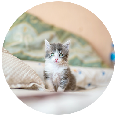 Circle-Image-5f0e0af1dd2fb