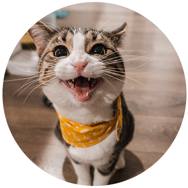 Circle-Image-5f3aaa454398f