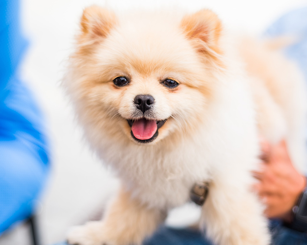 surgery-mobile-row-5f5bece745cb0