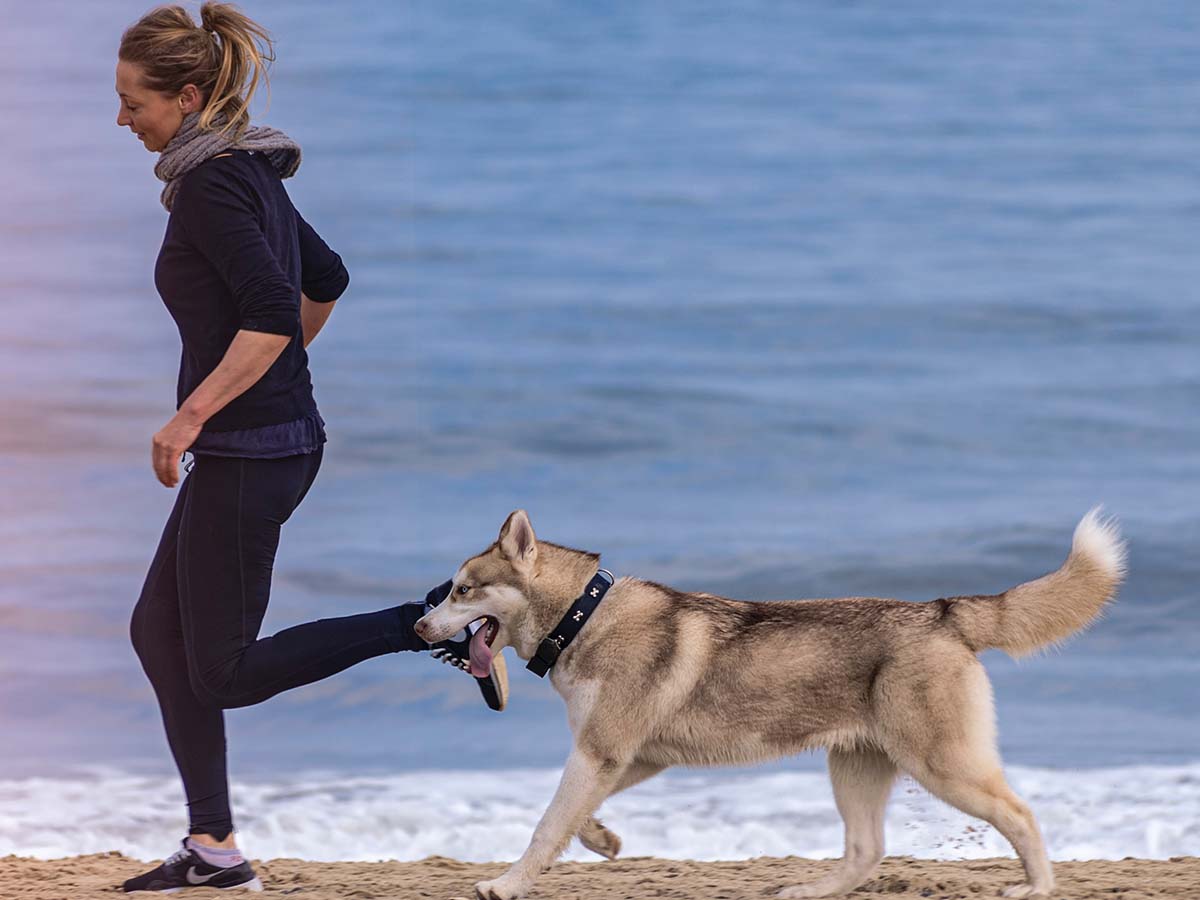 a pet owner running with their dog