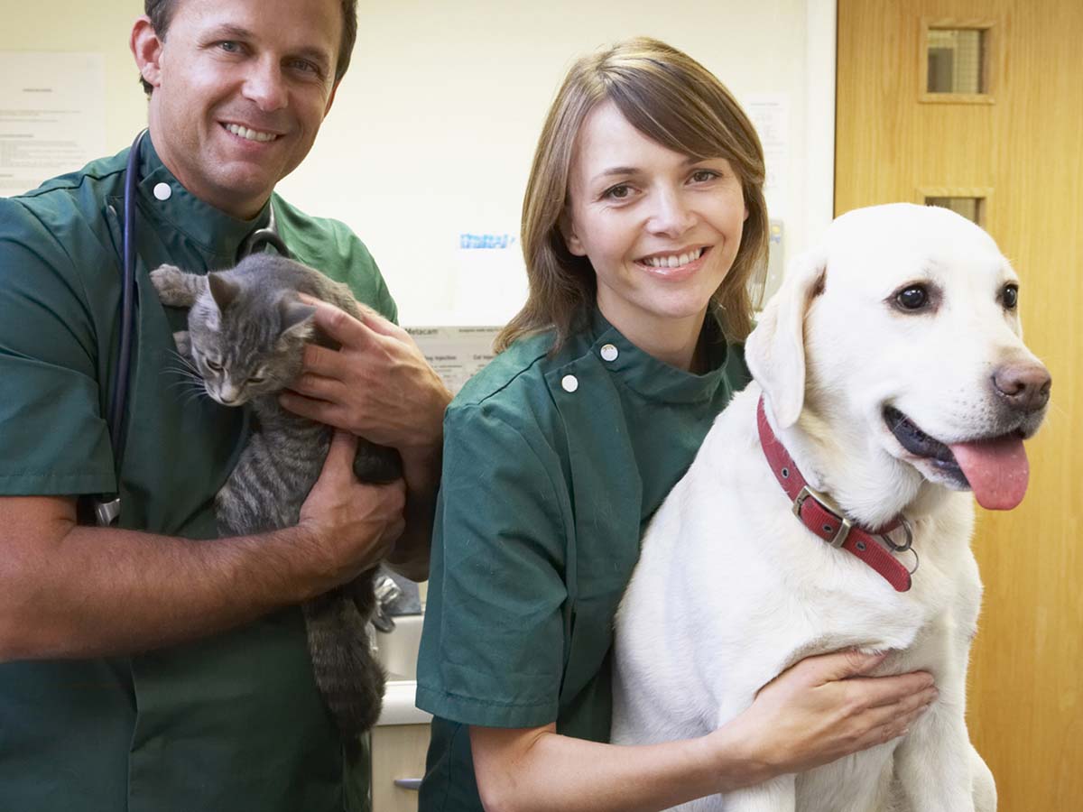 a dog and a cat being held by kind vets